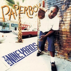 Paperboy - The Nine Yards