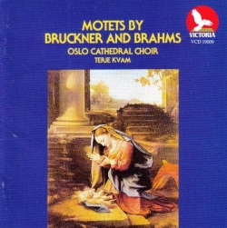 Terje Kvam - Motets By Bruckner And Brahms