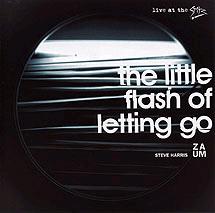 Zaum - The Little Flash Of Letting Go