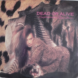 Dead or Alive - Sophisticated Boom Boom