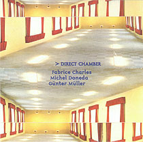 Michel Doneda - Direct Chamber