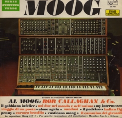 Bob Callaghan - Moog - Al Moog: Bob Callaghan & Co