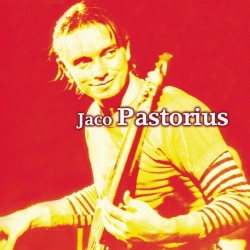 Jaco Pastorius - Guitar & Bass