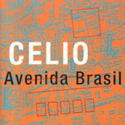 Celio de Carvalho - Avendia Brasil