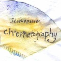 Second Person - Chromatography