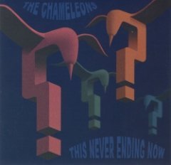 The Chameleons - This Never Ending Now