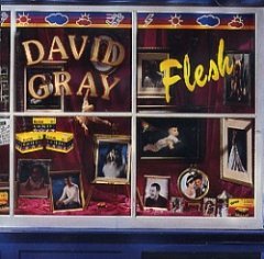 David Gray - Flesh