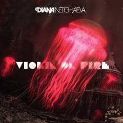 Diana Netchaeva - Violin on Fire