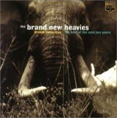 The Brand New Heavies - Dream Come True - The Best Of The Acid Jazz Years