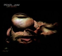 Pearl Jam - Life Wasted