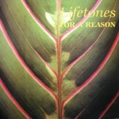 Lifetones - For A Reason