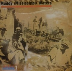 Muddy Waters - Live