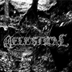 Celestiial - Desolate North