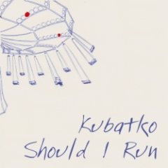 Kubatko - Should I Run