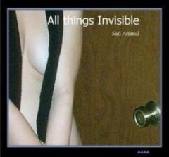 All Things Invisible - Sad Animal