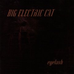 Big Electric Cat - Eyelash