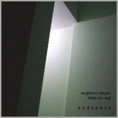 Angharad Davies - Endspace