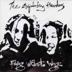 The Exploding Thumbs - Flying Without Wings