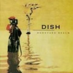 Dish - Boneyard Beach