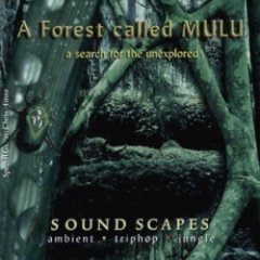 A Forest Called Mulu - A Search For The Unexplored