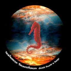 Seahorse Transform - Dust From A Trip