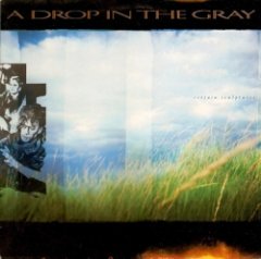 A Drop In The Gray - Certain Sculptures