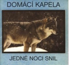 Domaci Kapela - Jedné noci snil