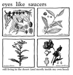 Eyes Like Saucers - Still Living In The Desert (And Mostly Inside My Own Head)