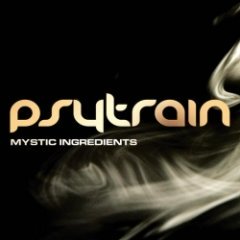 Psytrain - Mystic Ingredients