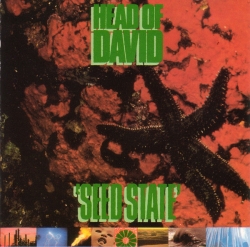 Head of David - Seed State