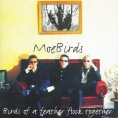 MoeBirds - Birds Of A Feather Flock Together