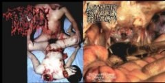 Torsofuck - Disgusting Gore And Pathology / Polymorphisms To Severe Sepsis In Trauma