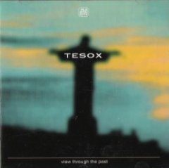 Tesox - View Through The Past