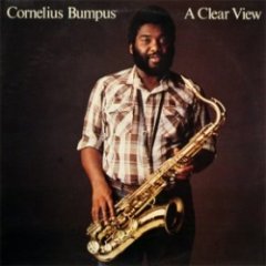 Cornelius Bumpus - A Clear View