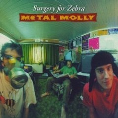 Metal Molly - Surgery For Zebra