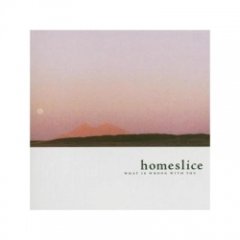 Homeslice - What Is Wrong With You