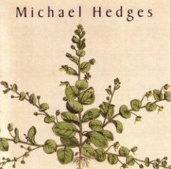 Michael Hedges - Taproot