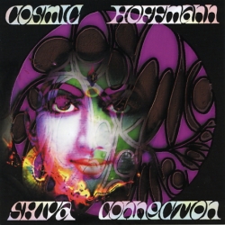 Cosmic Hoffmann - Shiva Connection
