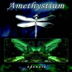 Amethystium - Odonata