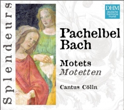 Cantus Cölln - DHM Splendeurs: Pachelbel/Bach: Motets