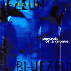 Bluezeum - Portrait Of A Groove