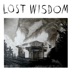 Julie Doiron - Lost Wisdom