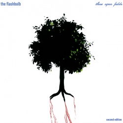 The Flashbulb - These Open Fields (2nd Edition)
