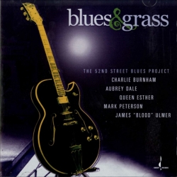 Mark Peterson - Blues & Grass