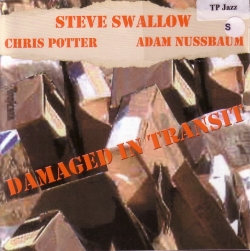 Steve Swallow - Damaged In Transit