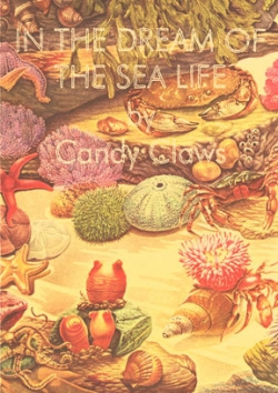 Candy Claws - In the dream of the sea life