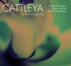 Cattleya - Le Temps Perdu