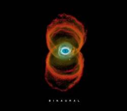 Pearl Jam - Binaural