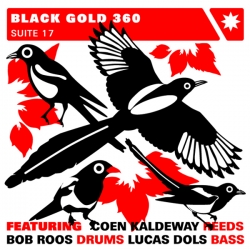 Black Gold 360 - Suite 17