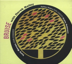 Ashley Wales - Bruise With Derek Bailey